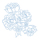 outline of a bunch of hydrangeas