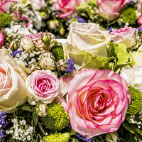 a bunch of pink and white roses