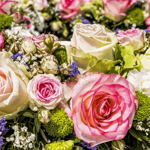 a bunch of pink and white roses